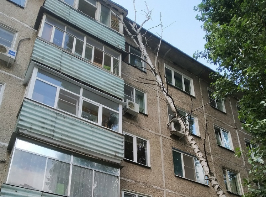 Рухнувшее на дом дерево угрожает безопасности воронежцев