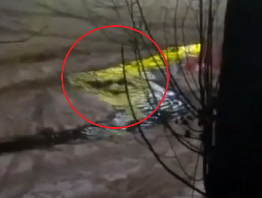 Фонтан канализации забил из-под асфальта и льда в Воронеже 