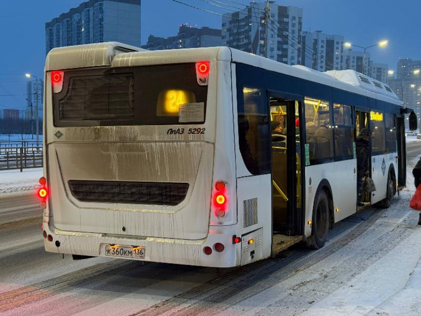 Идет прогрев: чиновники заверили, что воронежские автобусы штатно выйдут на линию в морозное утро понедельника 