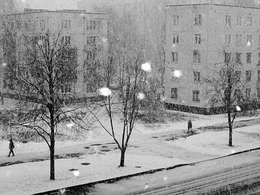 В выходные в Воронеже 6 и 7 декабря пойдет снег