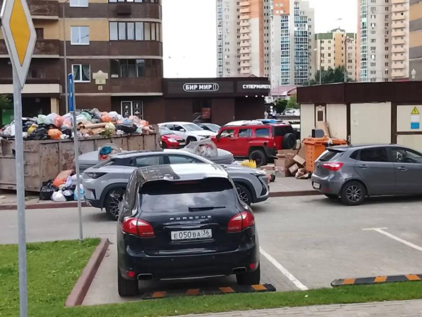 Причину превращения мусорной площадки в зловонное царство назвали в Воронеже