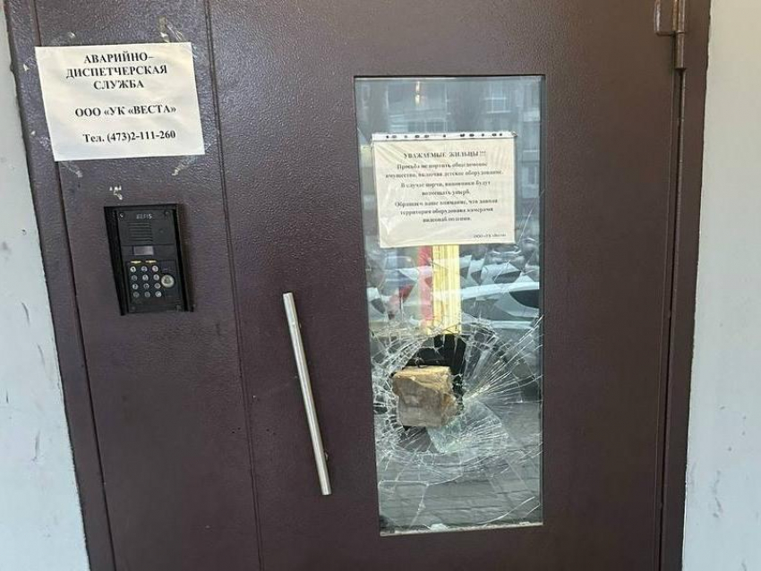 «Разнесли всё на пути»: последствия ночного дебоша показали в Воронеже