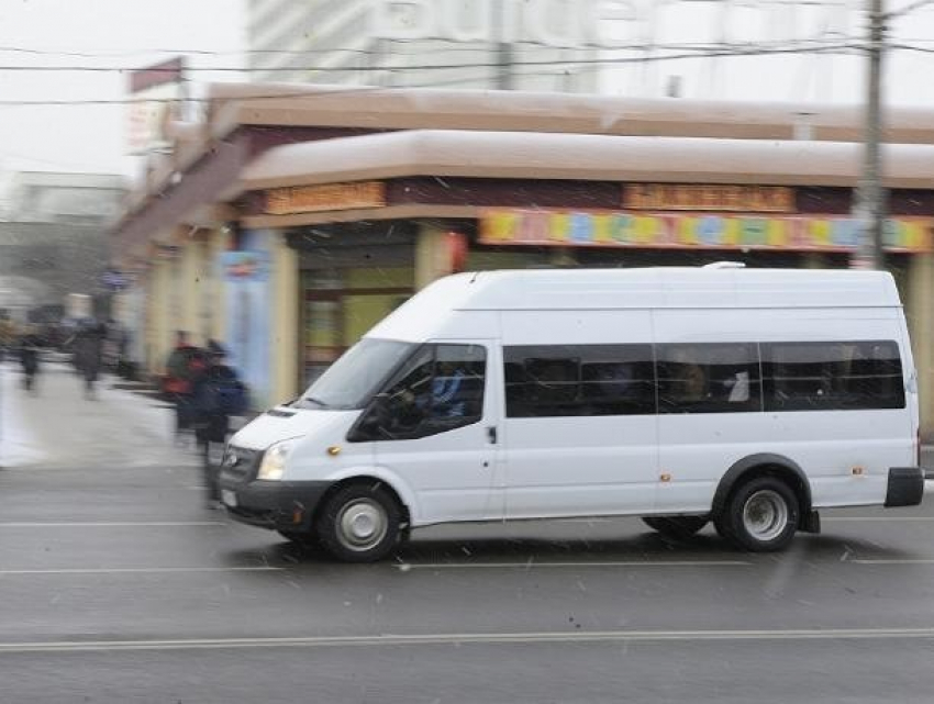 В Воронеже на обновленный маршрут не вышел ни один автобус
