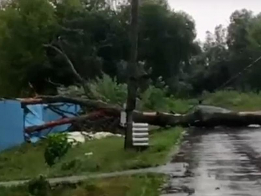 Последствия урагана наглядно показали жители Воронежа