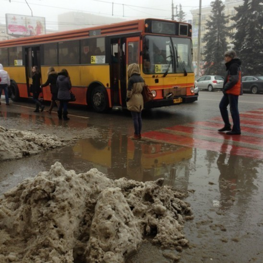Воронежцы из-за неубранного снега организовали стихийную остановку посредине улицы Плехановская (ФОТО)