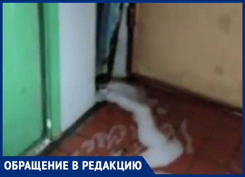 Экскурсию по девятиэтажному потопу устроила жительница Воронежа