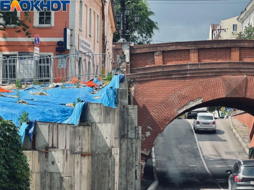  Госэкспертизе понравился проект реставрации воронежского Каменного моста