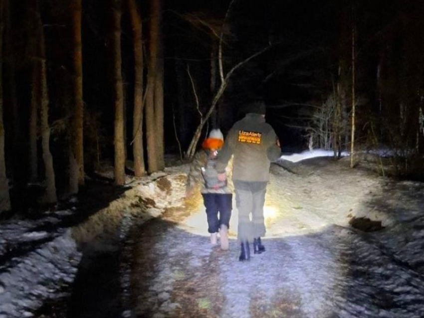 Ушёл в лес босиком и не вернулся: под Воронежем нашли погибшим пропавшего мужчину