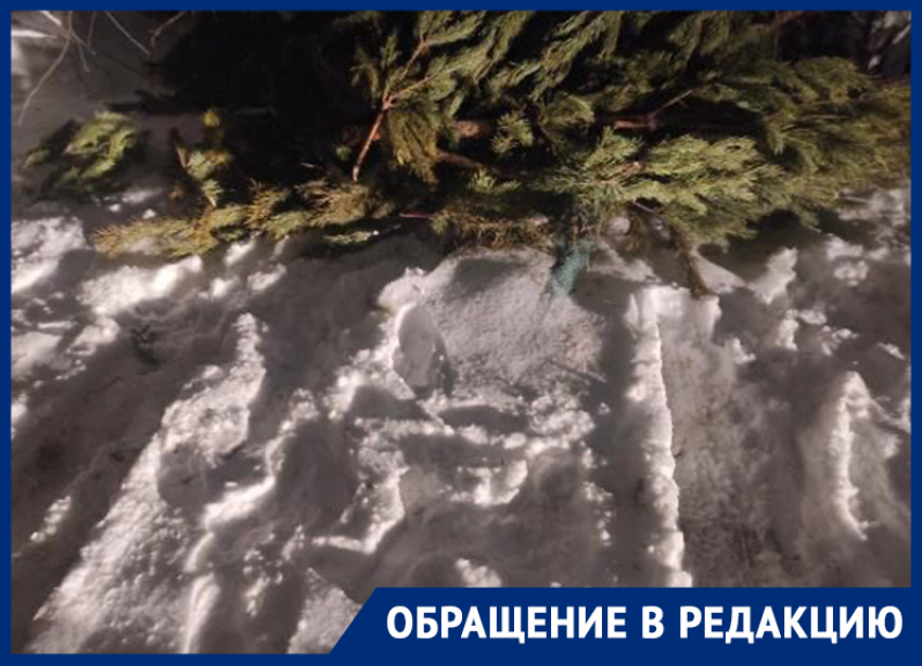 Горькое послевкусие новогоднего бизнеса показали в Воронеже 