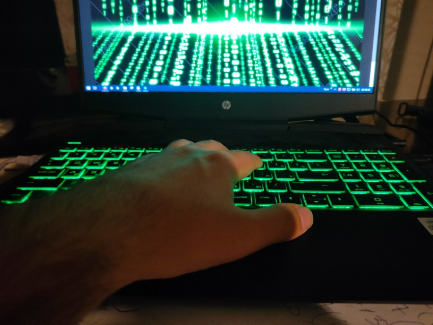 Крупный воронежский провайдер подвергся масштабной DDoS-атаке