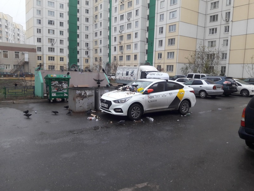 Тошнотворную расправу устроили «Яндекс Такси» в воронежском дворе