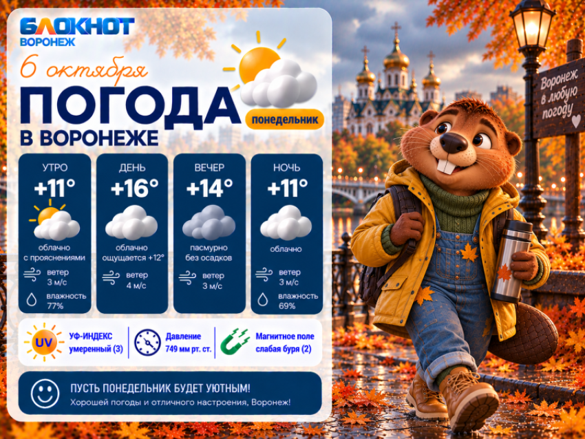 На пару градусов теплее: прогноз погоды в Воронеже