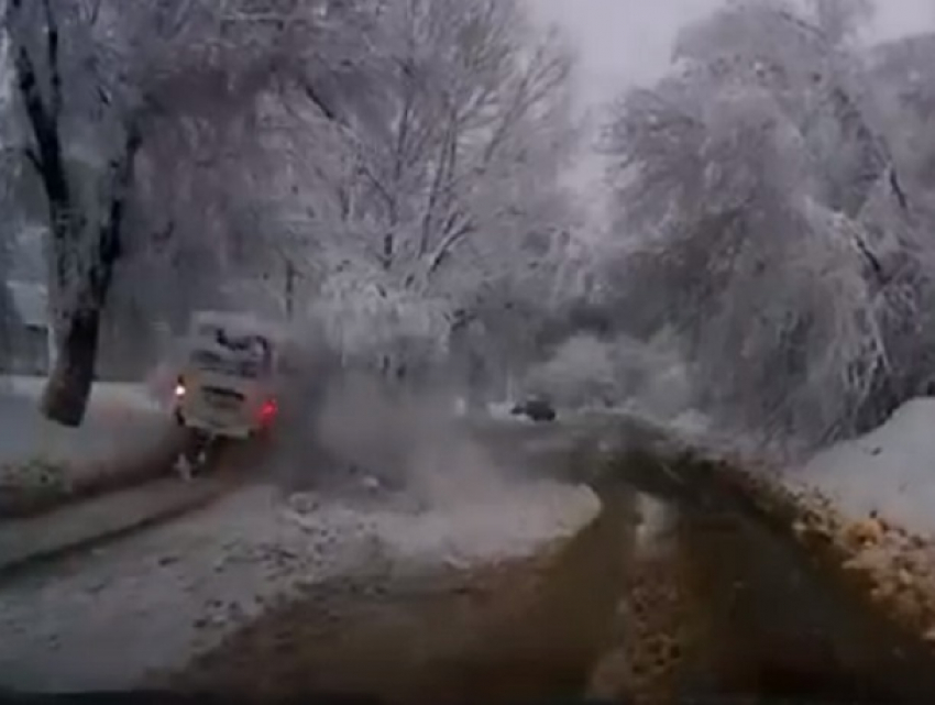 Безумный обгон сквозь дерево в Воронеже сняли на видео 