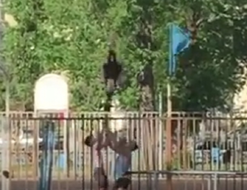 Выкрутасы красавицы с двумя парнями в Воронеже сняли на видео 
