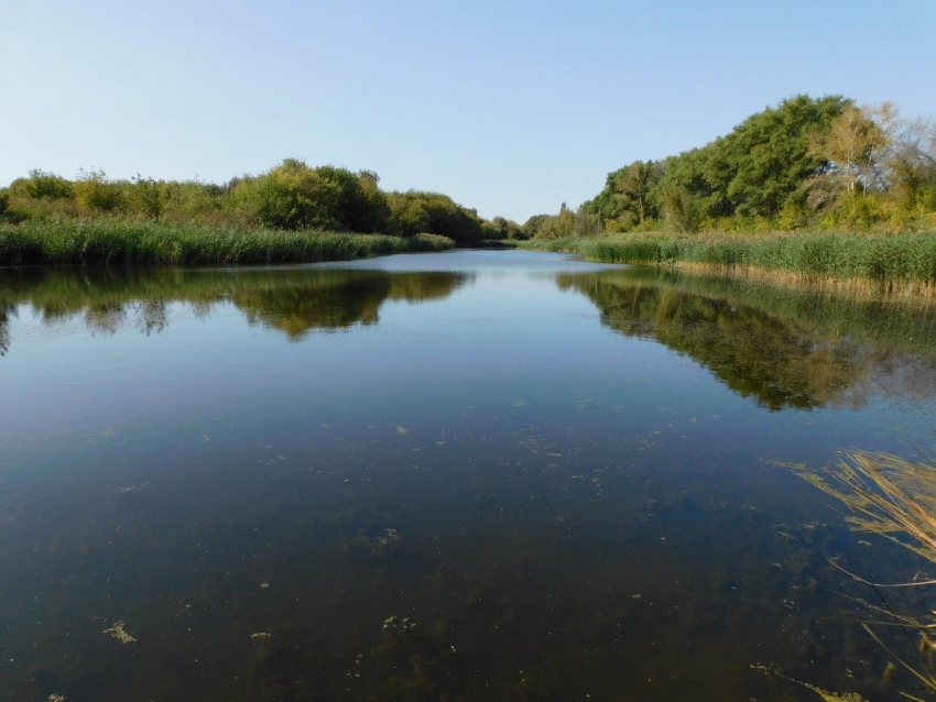 Водные памятники природы Воронежа отмечают полувековой юбилей