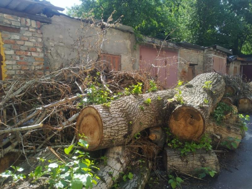 Свалка из мусора и сухостоя перегородила проезд во двор в центре Воронежа