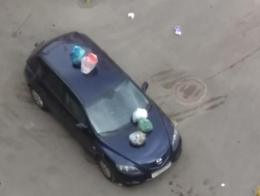 Воронежцев настоятельно призвали не гадить исподтишка 