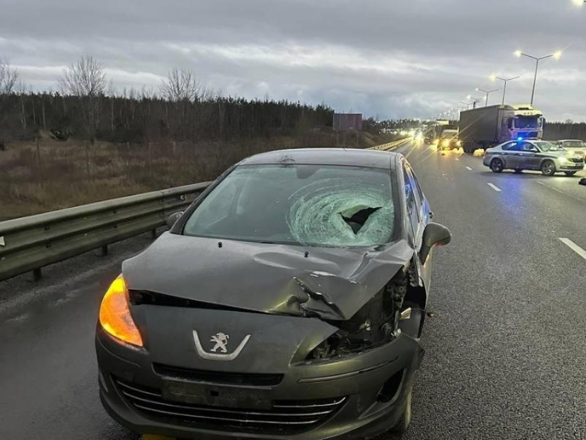 Неизвестного пешехода, перебегающего трассу, сбила иномарка в Воронеже