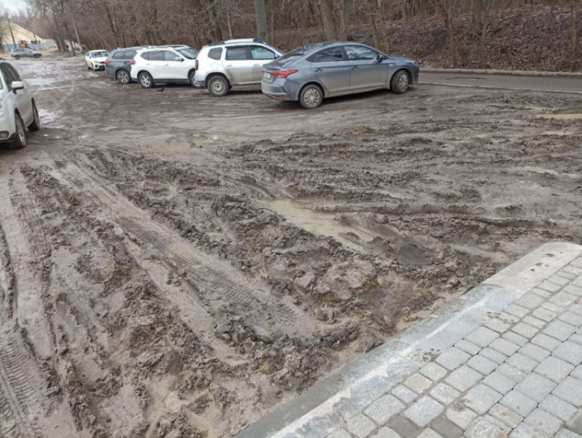 Затишье перед морозным ударом ожидается в ближайшие дни в Воронежской области