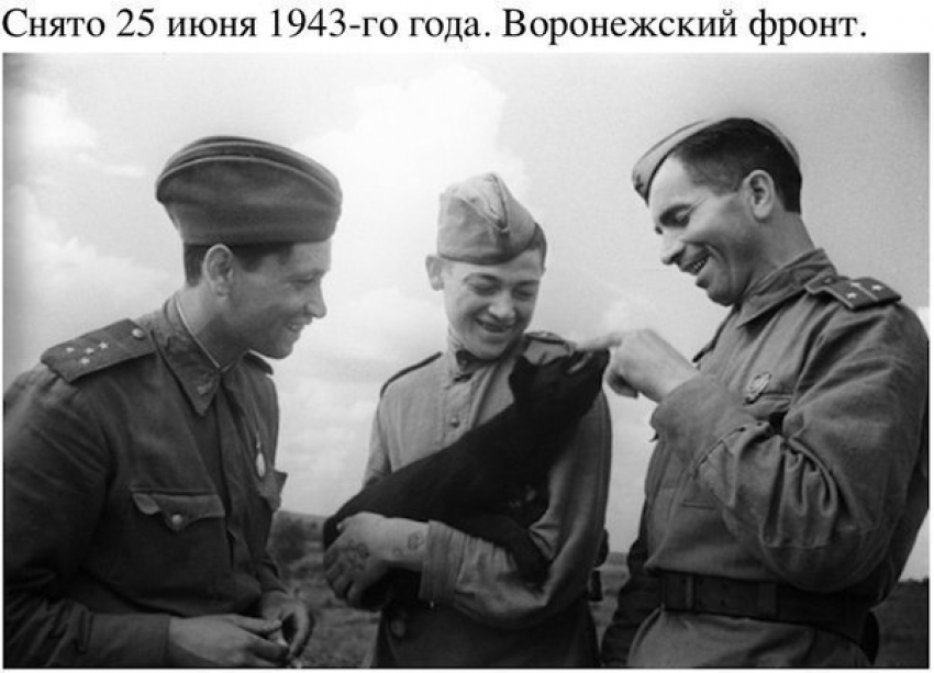Сильный снимок с Воронежского фронта впечатлил горожан
