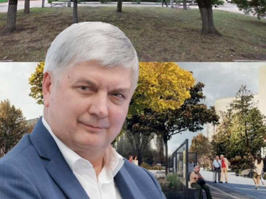 Воронежцы попросили губернатора Гусева спасти городские деревья