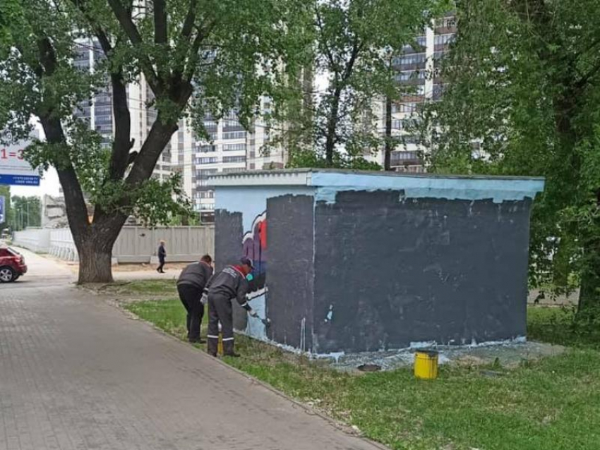 В Воронеже уничтожают стрит-арт