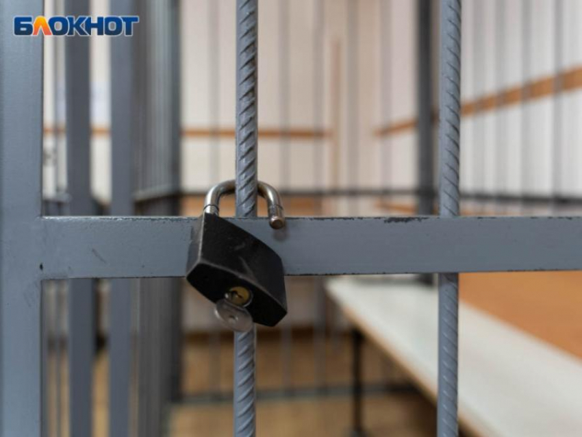 19-летнего воронежца осудили за реабилитацию нацизма в интернете 