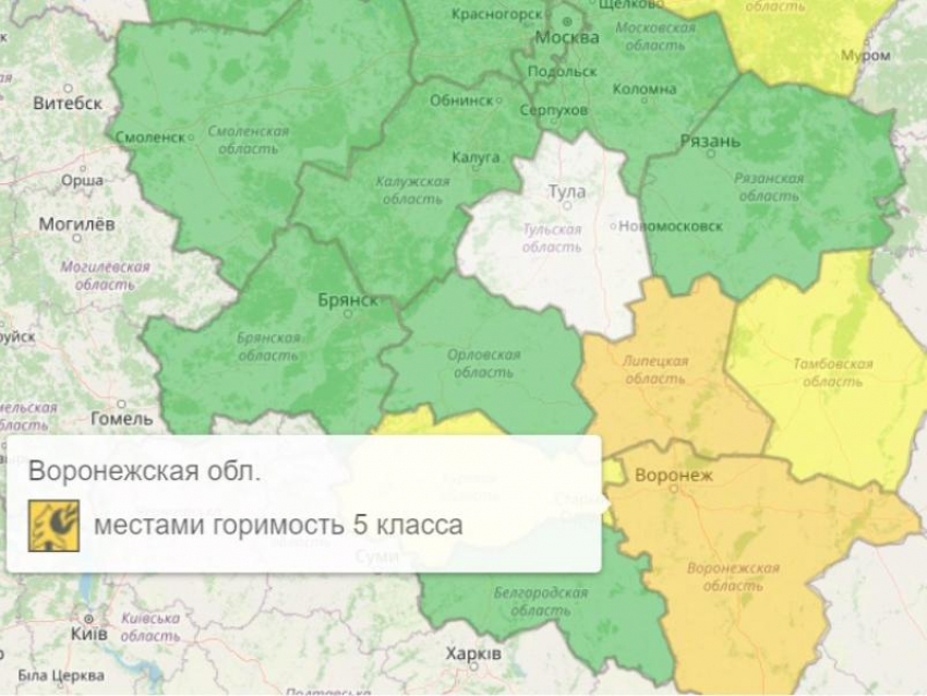 Оранжевый уровень опасности объявлен из-за погоды в Воронежской области