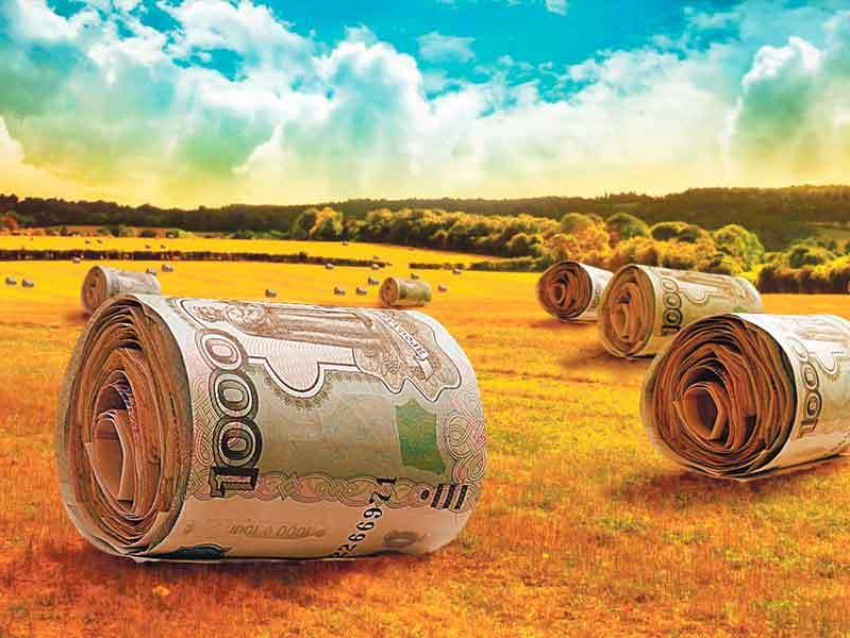 Инвестиции в воронежский агробизнес за этот год оценили в 30 млрд рублей