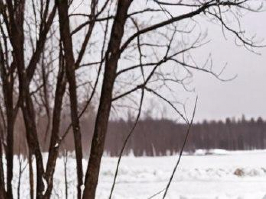  Мороз, оттепель и снегопад: как Воронеж переживёт три контрастных январских дня