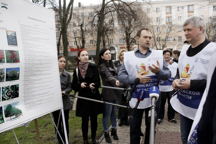 Глава региона высадил редкие деревья в Кольцовском сквере 