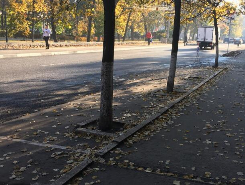 Воронежцы массово игнорируют платные парковки в центре города