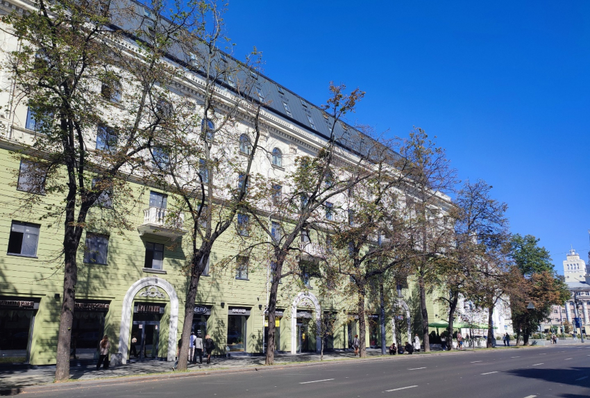 Экологическая катастрофа в Воронеже: в следующем году на улицах города может засохнуть половина деревьев