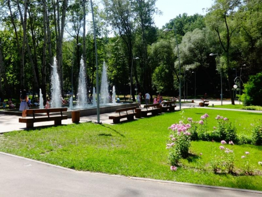 Когда в Воронеже начнут реконструировать вторую очередь Центрального парка