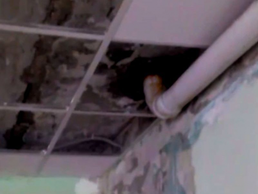 В мэрии Воронежа прокомментировали мокрые занятия детей в ЦДО «Созвездие»