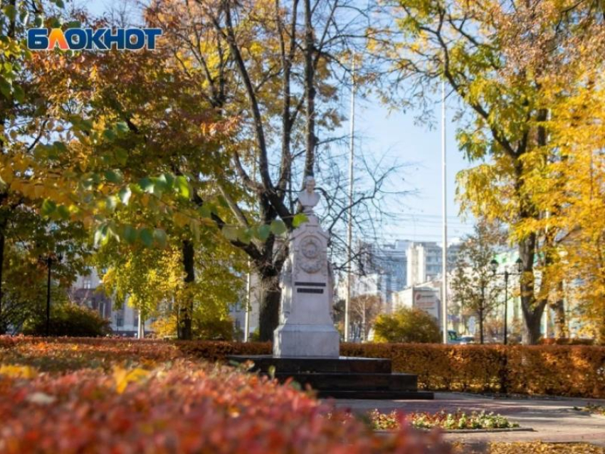 Летнее тепло согреет воронежцев на новой рабочей неделе