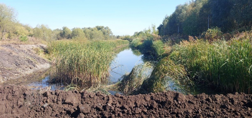 Дамба раздора: пока чиновники лепят отписки, воронежцы берут и делают