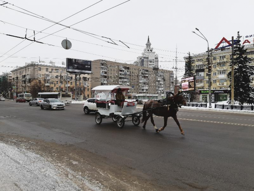 Сказочная карета рассекает по Воронежу без пробок