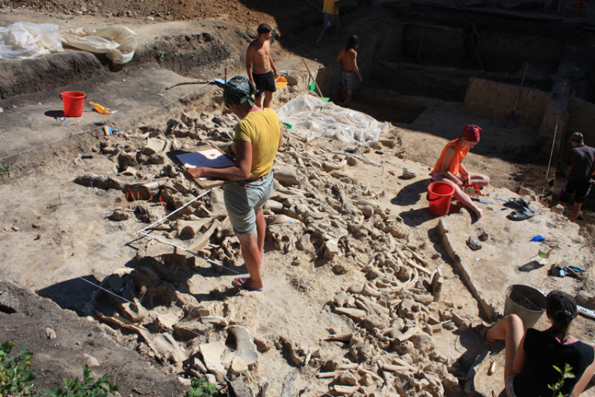 Под Воронежем археологи нашли древнейшее захоронение мамонтов (ФОТО)