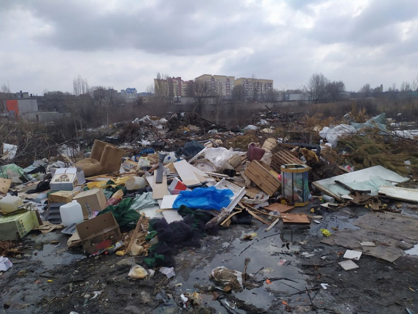 Чиновник рассказал, как надо выбрасывать мусор в Воронежской области 
