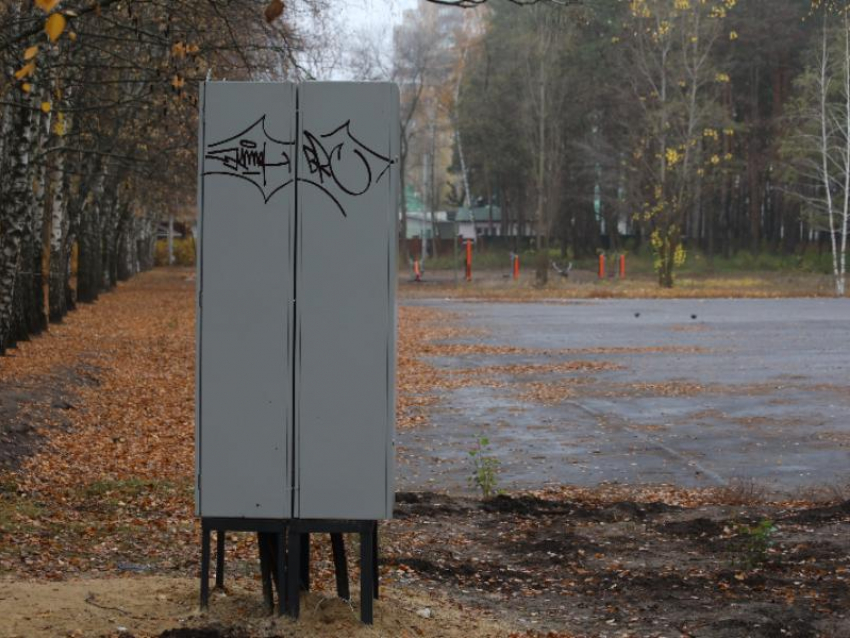 Вандалы начали уродовать воронежский парк, который находится в концессии  