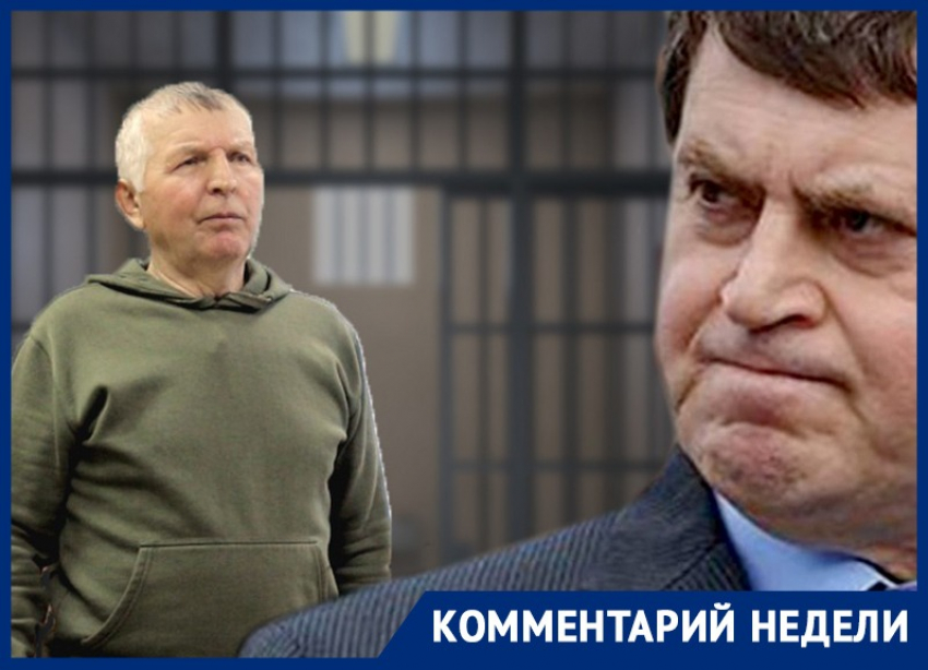 Преследование пенсионера Геннадием Макиным прокомментировали политики и общественные деятели 