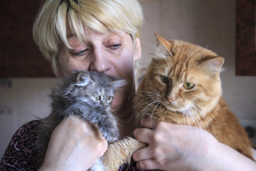 Воронежская преподавательница приютила у себя в квартире 33 бездомных животных