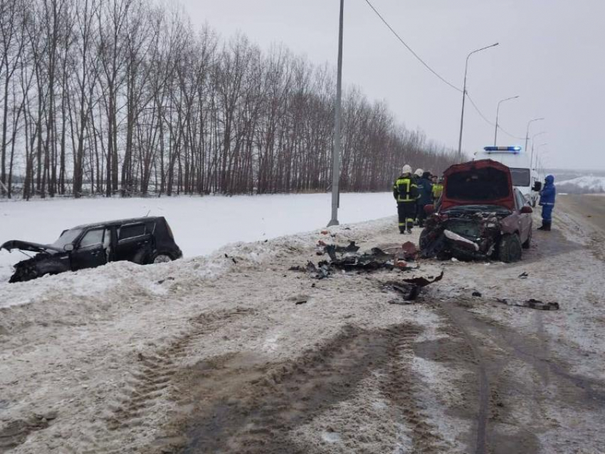 Малолетний ребенок погиб в жутком ДТП на воронежской трассе