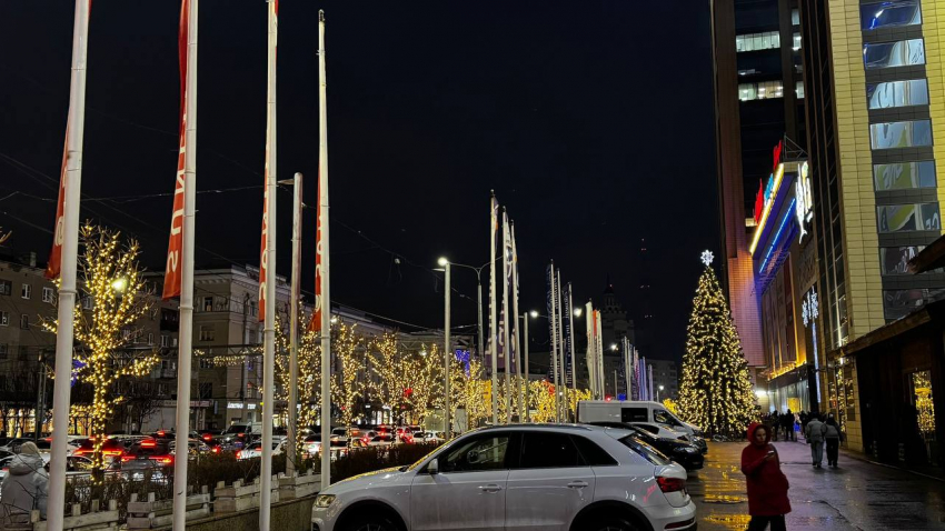 Какой будет погода в предновогодней Воронежской области