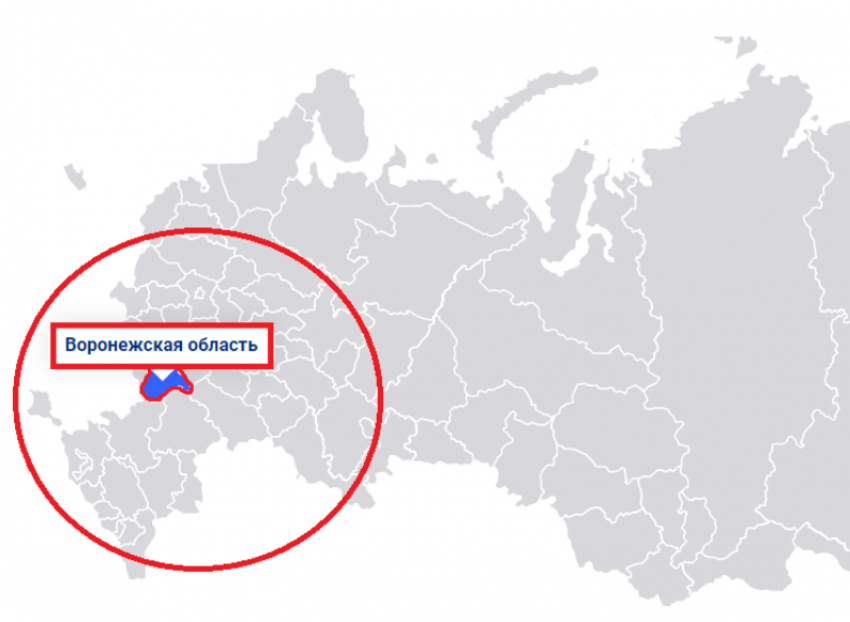 Место Воронежской области на коронавирусной карте России