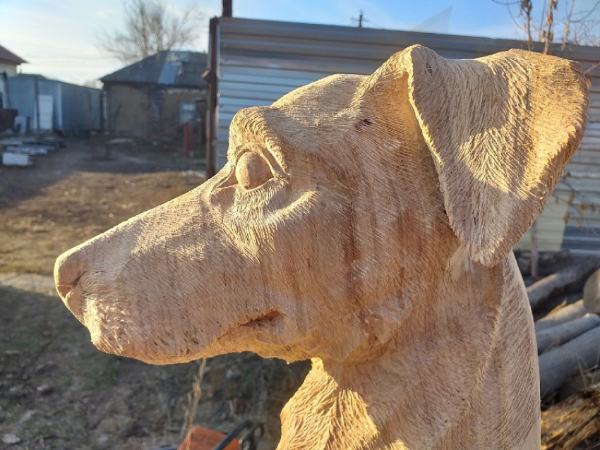 Виртуоз-скульптор показал новую работу в Воронеже