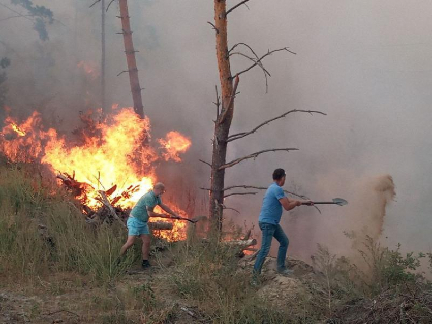 Пожарные трогательно поблагодарили воронежцев