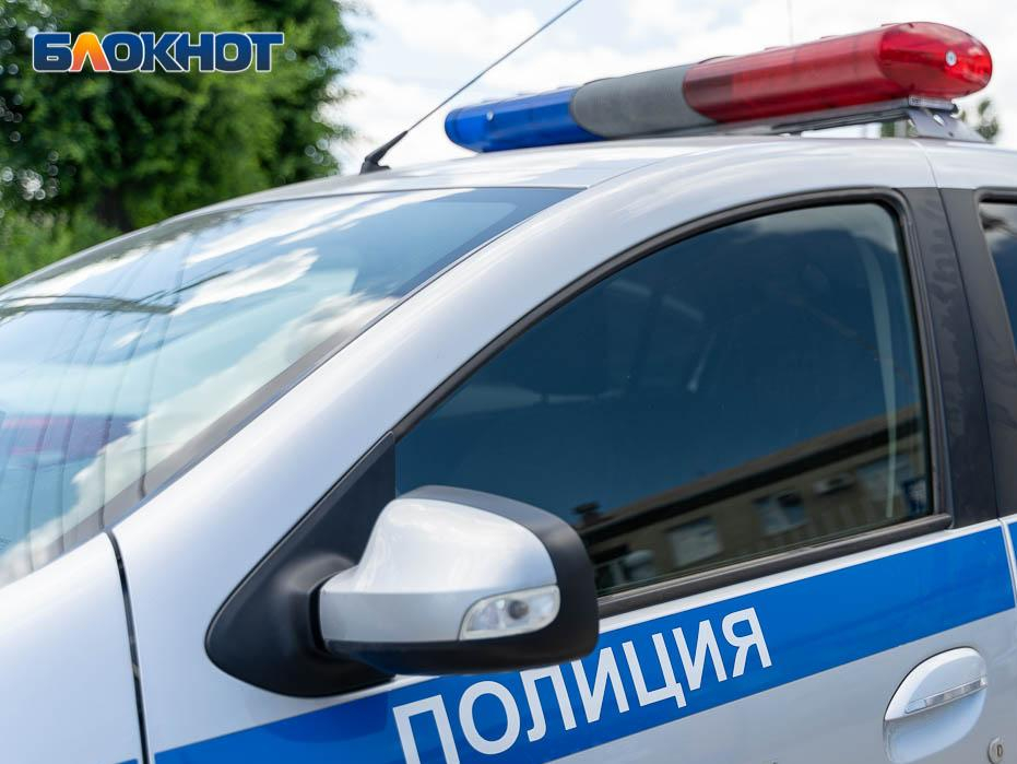 Полиция разыскивает водителя, который сбил пешехода в садоводческом товариществе под Воронежем