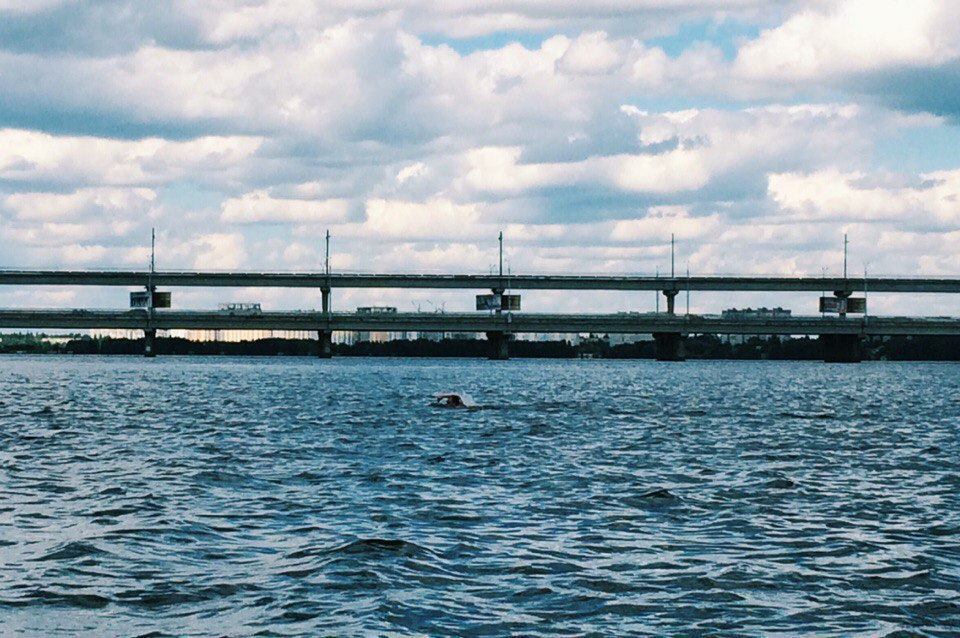 Под Воронежем 15-летний школьник утонул после прыжка с моста в пруд
